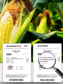 粗粮饮料市场黑马突围，热销商超与餐饮渠道，经销商利差可期